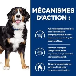 Hill's Prescription Diet Canine J/D Metabolic + Mobility 4 Kg -Hill's 52742000633 5 prescription diet chien metabolic mobility croquettes poulet