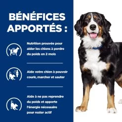Hill's Prescription Diet Metabolic + Mobility Pour Chien Au Thon Et Au Légumes 12x354 -Hill's 52742021669 3 FR