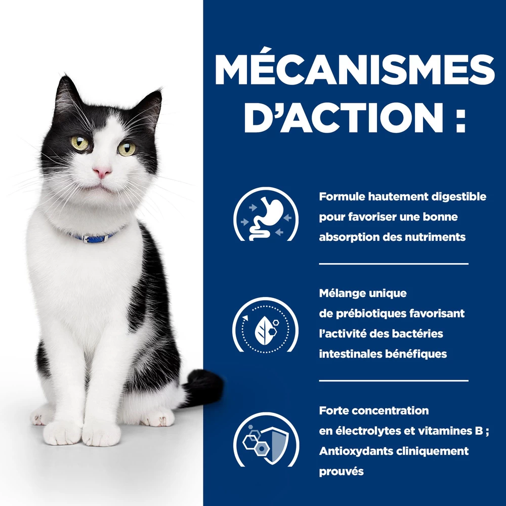 Hill's Prescription Diet I/d Digestive Croquettes Pour Chat Et Chaton Au Poulet - 8kg 5 Hill's Prescription Diet I/d Digestive Croquettes Pour Chat Et Chaton Au Poulet - 8kg – Image 3