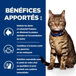 Hill's Prescription Diet T/d Dental Croquettes Pour Chat Au Poulet 3kg -Hill's 52742041995 3 FR 1