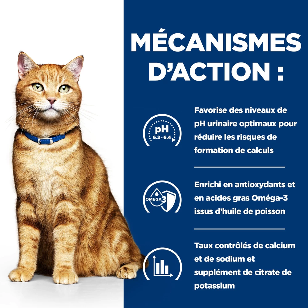 Hill's Prescription Diet C/D Urinary Mutlicare Croquettes Pour Chat Au Poulet 12kg 5 Hill's Prescription Diet C/D Urinary Mutlicare Croquettes Pour Chat Au Poulet 12kg – Image 3
