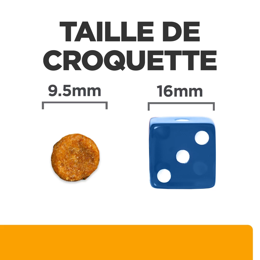 Hill's Prescription Diet C/D Urinary Mutlicare Croquettes Pour Chat Au Poulet 12kg 7 Hill's Prescription Diet C/D Urinary Mutlicare Croquettes Pour Chat Au Poulet 12kg – Image 5