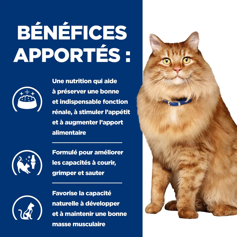 Hill's Prescription Diet K/D J/D Kidney + Mobility Croquettes Pour Chat Au Poulet - 1.5Kg 6 Hill's Prescription Diet K/D J/D Kidney + Mobility Croquettes Pour Chat Au Poulet - 1.5Kg – Image 4