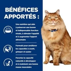 Hill's Prescription Diet Feline K/D + Mobility 12 X 85 G -Hill's 52742044767 4 prescription diet chat k d mobility croquettes poulet