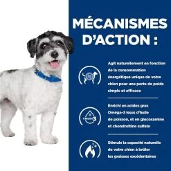 Hill's Prescription Diet Canine J/D Metabolic + Mobility Mini 1 Kg -Hill's 52742045269 4 prescription diet chien metabolic mobility mini croquettes poulet