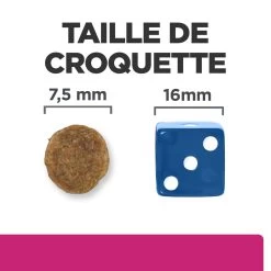 Hill's Prescription Diet Gastrointestinal Biome Mini Croquettes Pour Petit Chien Au Poulet 1 Kg -Hill's 52742045597 4 FR 1