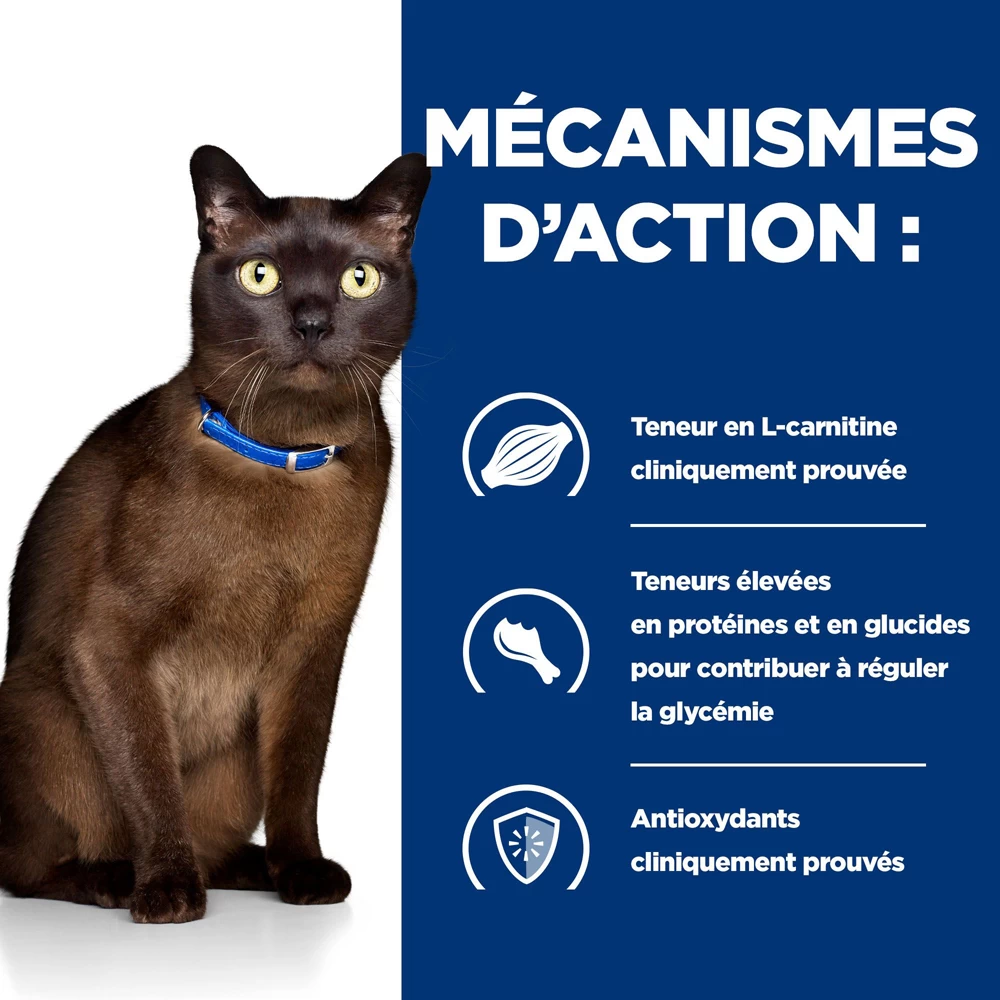 Hill's Prescription Diet M/d Diabète Croquettes Pour Chat Au Poulet 3kg 5 Hill's Prescription Diet M/d Diabète Croquettes Pour Chat Au Poulet 3kg – Image 3