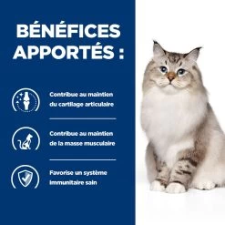 Hill's Prescription Diet J/D Mobility Croquettes Pour Chat Au Poulet 3kg -Hill's 52742048352 3 FR 1