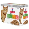 Hill's Science Plan Mature Adult Vitality Multipack 12 Sachets Pour Chat Âgé Au Poulet Et Saumon -Hill's a3eed80009db84dc55723001f36e94e993cca05cd6753936004464fc97420e04