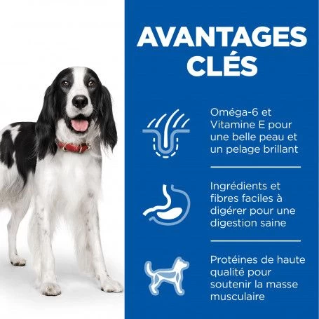 Canine Adult Poulet Boîte 4 Canine Adult Poulet Boîte – Image 2