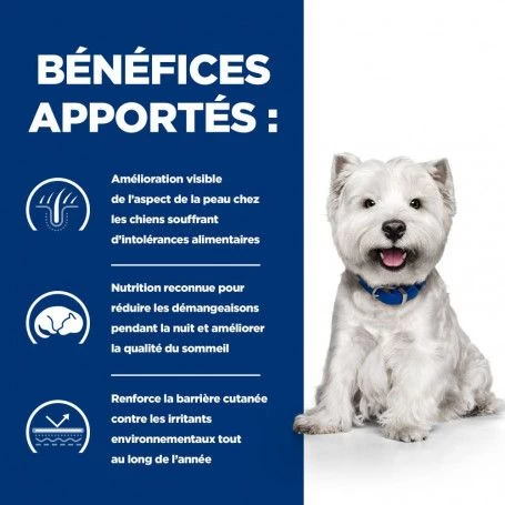 Derm Complete Mini Croquettes Pour Petit Chien 5 Derm Complete Mini Croquettes Pour Petit Chien – Image 3