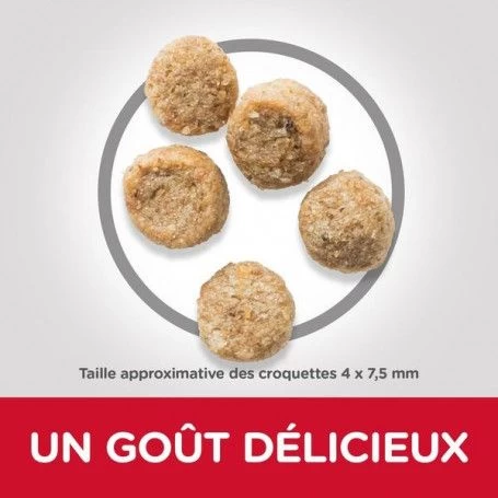 Canine Mature Mini Light Poulet 5 Canine Mature Mini Light Poulet – Image 3