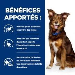 Metabolic Croquettes Pour Chien Au Poulet 13 Metabolic Croquettes Pour Chien Au Poulet -Hill's canine metabolic 3