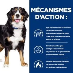 J/D Metabolic+Mobility Croquettes Pour Chien Au Poulet -Hill's canine metabolicmobility 4