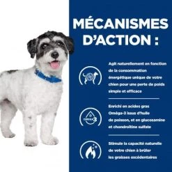 J/d Metabolic+Mobility Mini Croquettes Pour Petit Chien Au Poulet -Hill's chien j d metabolicmobility mini poulet 3
