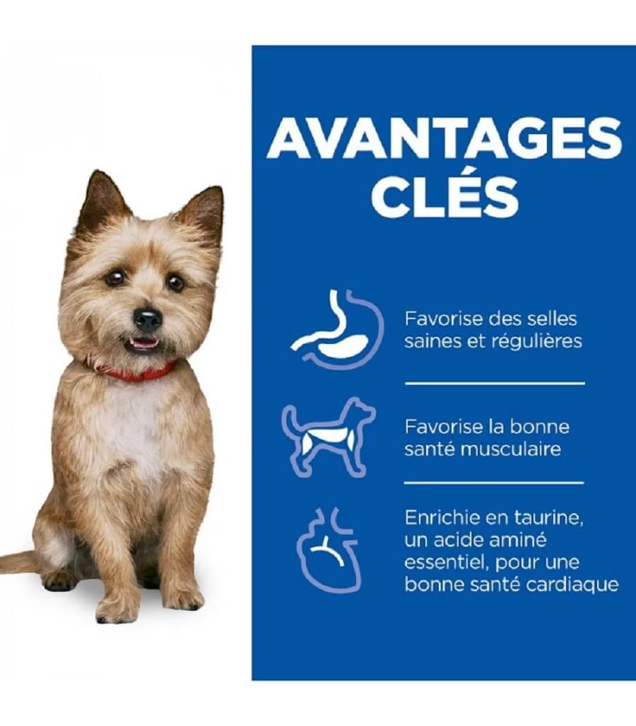 Hill's Science Plan VetEssentials Canine Healthy Digestive Biome Small & Mini 2 Kg 7 Hill's Science Plan VetEssentials Canine Healthy Digestive Biome Small & Mini 2 Kg – Image 5