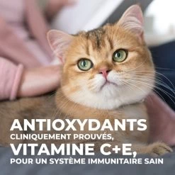 Hill's Science Plan Mature Adult Sterilised - Poulet - 3 Kg -Hill's fe02ed3199eab2ce4c93fb61c16c60cab879f5afa39a348354424fd00d9ede0f