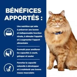 K/D J/D Kidney+Mobility Sachet Repas Pour Chat Poulet 13 K/D J/D Kidney+Mobility Sachet Repas Pour Chat Poulet -Hill's feline k d mobility poulet sachet repas 3
