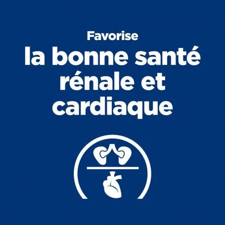 Y/d Thyroid Boîte Pour Chat 4 Y/d Thyroid Boîte Pour Chat – Image 2