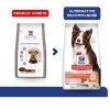 Hill's Science Plan VetEssentials Canine Healthy Digestive Biome Medium 10 Kg -Hill's hill s science plan vetessentials canine healthy digestive biome medium 10 kg 2