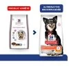 Hill's Science Plan VetEssentials Canine Healthy Digestive Biome Small & Mini 2 Kg 1 Hill's Science Plan VetEssentials Canine Healthy Digestive Biome Small & Mini 2 Kg -Hill's hill s science plan vetessentials canine healthy digestive biome small mini 2 kg 2