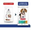 Hill's Science Plan VetEssentials Neutered Dog Adult Medium Poulet 10 Kg -Hill's hill s science plan vetessentials neutered dog adult medium poulet 10 kg 2