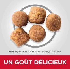 Hill's Science Plan Hill's Science Plan Canine Adult Healthy Mobility Large Breed Poulet 14 Kg 8 Hill's Science Plan Hill's Science Plan Canine Adult Healthy Mobility Large Breed Poulet 14 Kg -Hill's hill s science plan canine adult healthy mobility large breed poulet 14 kg3