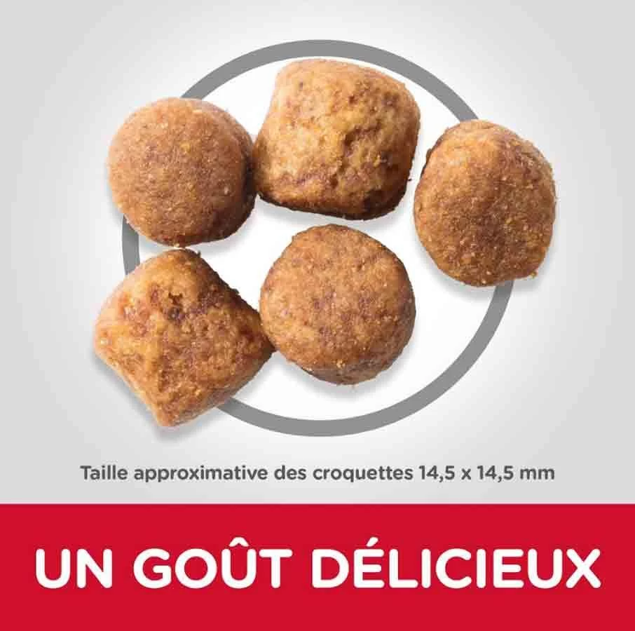 Hill's Science Plan Hill's Science Plan Canine Adult Healthy Mobility Large Breed Poulet 14 Kg 5 Hill's Science Plan Hill's Science Plan Canine Adult Healthy Mobility Large Breed Poulet 14 Kg – Image 3