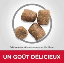 Hill's Science Plan Hill's Science Plan Canine Adult Healthy Mobility Medium Poulet 14 Kg -Hill's hill s science plan canine adult healthy mobility medium poulet 14 kg4