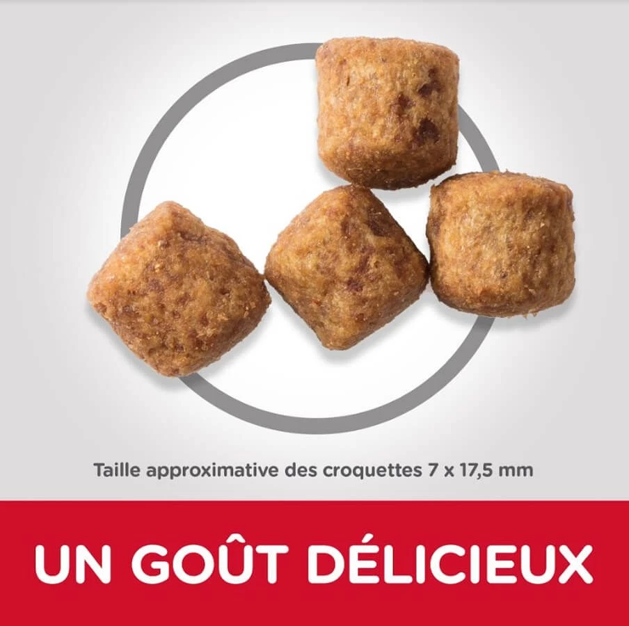 Hill's Science Plan Hill's Science Plan Canine Adult Large Perfect Weight Poulet 12 Kg 4 Hill's Science Plan Hill's Science Plan Canine Adult Large Perfect Weight Poulet 12 Kg – Image 2