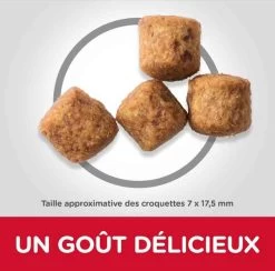 Hill's Science Plan Hill's Science Plan Canine Adult Light Large Breed Poulet 14 Kg -Hill's hill s science plan canine adult light large breed poulet 14 kg3