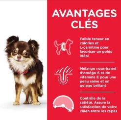 Hill's Science Plan Hill's Science Plan Canine Adult Light Small & Mini Poulet 6 Kg -Hill's hill s science plan canine adult light small mini poulet 6 kg3