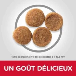 Hill's Science Plan Hill's Science Plan Canine Adult Perfect Weight Medium Poulet 12 Kg 8 Hill's Science Plan Hill's Science Plan Canine Adult Perfect Weight Medium Poulet 12 Kg -Hill's hill s science plan canine adult perfect weight medium poulet 12 kg4