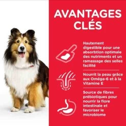 Hill's Science Plan Hill's Science Plan Canine Adult Sensitive Stomach & Skin Medium Poulet 14 Kg -Hill's hill s science plan canine adult sensitive stomach skin medium poulet 14 kg3