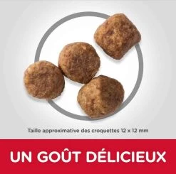 Hill's Science Plan Hill's Science Plan Canine Mature Adult 7+ Medium Poulet 14 Kg -Hill's hill s science plan canine mature adult 7 medium poulet 14 kg3