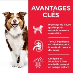 Hill's Science Plan Hill's Science Plan Canine Mature Adult 7+ Medium Poulet 14 Kg -Hill's hill s science plan canine mature adult 7 medium poulet 14 kg4