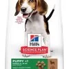 Hill's Science Plan Hill's Science Plan Canine Puppy Medium Agneau & Riz 18 Kg 1 Hill's Science Plan Hill's Science Plan Canine Puppy Medium Agneau & Riz 18 Kg -Hill's hill s science plan canine puppy agneau riz 18 kg