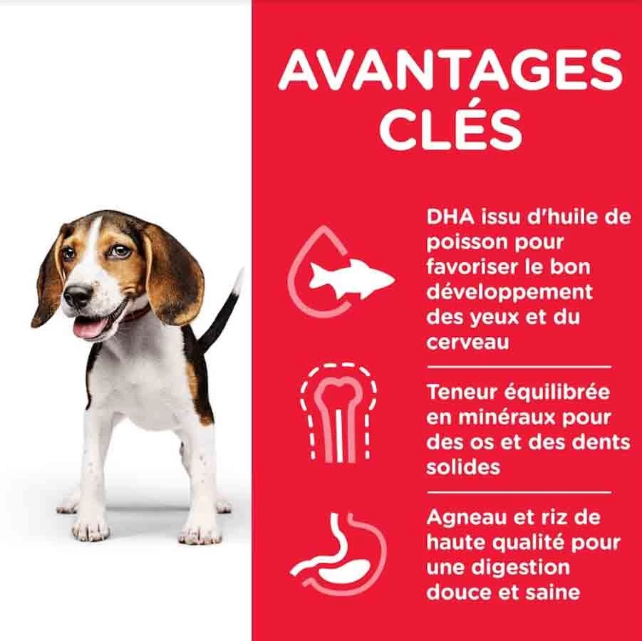 Hill's Science Plan Hill's Science Plan Canine Puppy Medium Agneau & Riz 18 Kg 4 Hill's Science Plan Hill's Science Plan Canine Puppy Medium Agneau & Riz 18 Kg – Image 2