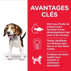 Hill's Science Plan Hill's Science Plan Canine Puppy Medium Poulet 14 Kg -Hill's hill s science plan canine puppy medium poulet 14 kg2