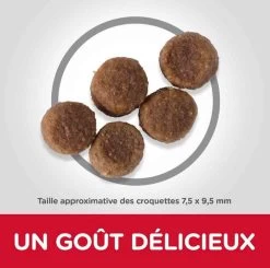 Hill's Science Plan Hill's Science Plan Canine Puppy Medium Poulet 14 Kg -Hill's hill s science plan canine puppy medium poulet 14 kg3