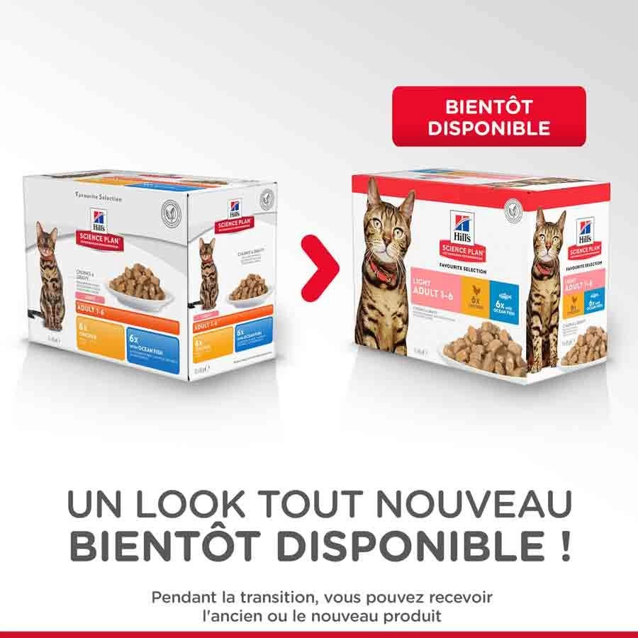 Hill's Science Plan Hill's Science Plan Feline Adult Light Pack Mixte Sachets 12 X 85 Grs 7 Hill's Science Plan Hill's Science Plan Feline Adult Light Pack Mixte Sachets 12 X 85 Grs – Image 5