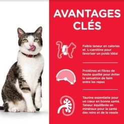 Hill's Science Plan Hill's Science Plan Feline Mature Adult 7+ Light Poulet 7 Kg -Hill's hill s science plan feline mature adult 7 light poulet 7 kg4