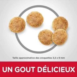 Hill's Science Plan Hill's Science Plan Feline Senior 11+ Poulet 3 Kg -Hill's hill s science plan feline senior 11 poulet 3 kg3