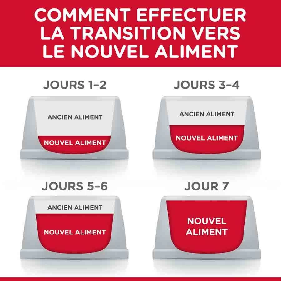 Hill's Science Plan Hill's Science Plan Chat Young Adult Sterilisé Canard 3 Kg 6 Hill's Science Plan Hill's Science Plan Chat Young Adult Sterilisé Canard 3 Kg – Image 4