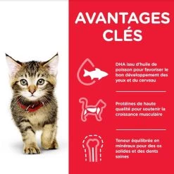 Hill's Science Plan Hill's Science Plan Feline Kitten Healthy Development Pack Mixte Sachets 12 X 85 Grs -Hill's hill s science plan kitten healthy development pack mixte sachets 12 x 85 grs4