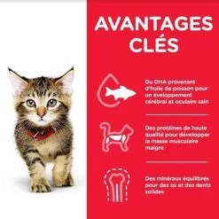 Hill's Science Plan Hill's Science Plan Feline Kitten Poulet 1,5 Kg 10 Hill's Science Plan Hill's Science Plan Feline Kitten Poulet 1,5 Kg -Hill's hill s science plan kitten healthy development poulet 1 5 kg2