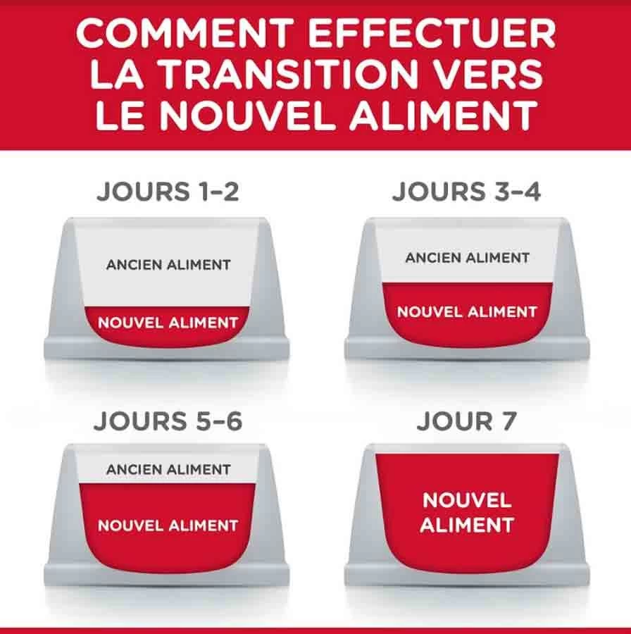 Hill's Science Plan Hill's Science Plan Feline Kitten Poulet 1,5 Kg 6 Hill's Science Plan Hill's Science Plan Feline Kitten Poulet 1,5 Kg – Image 4