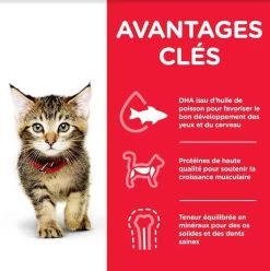 Hill's Science Plan Hill's Science Plan Feline Kitten Thon 1,5 Kg -Hill's hill s science plan kitten thon 1 5 kg3