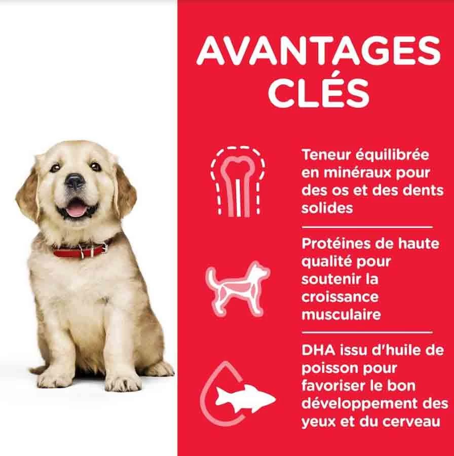 Hill's Science Plan Hill's Science Plan Puppy Large Healthy Development Poulet 16 Kg 4 Hill's Science Plan Hill's Science Plan Puppy Large Healthy Development Poulet 16 Kg – Image 2