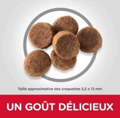 Hill's Science Plan Hill's Science Plan Puppy Large Healthy Development Poulet 16 Kg 8 Hill's Science Plan Hill's Science Plan Puppy Large Healthy Development Poulet 16 Kg -Hill's hill s science plan puppy large healthy development poulet 16 kg3 3